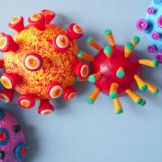 Viruses, Bacteria and Toxins