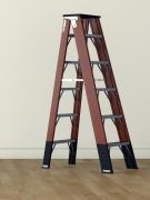 Which of these two ladders do you use more often?
