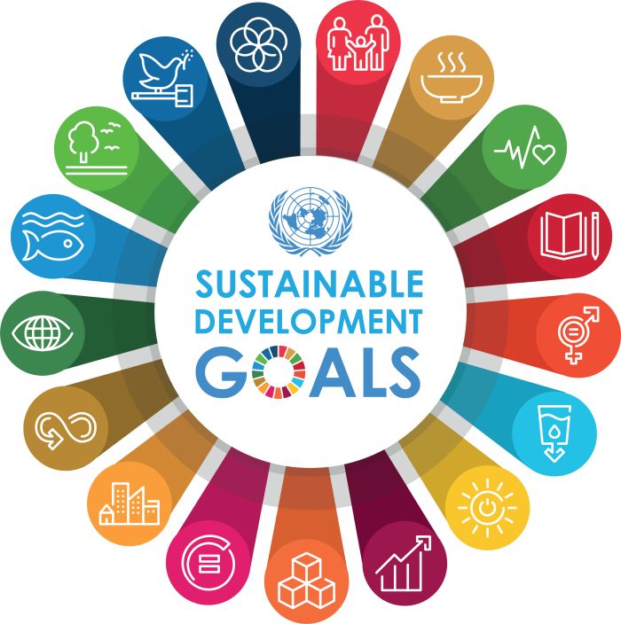 Gender and the Sustainable Development Goals | EdApp Microlearning ...