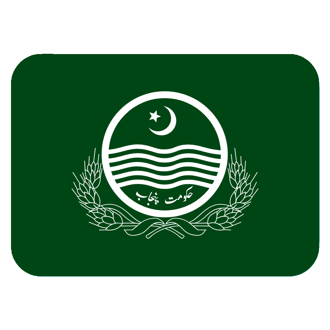 Punjabi Flag